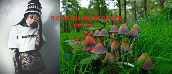 мдма Туринск
